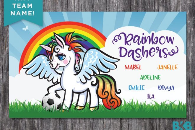 Vinyl Soccer Team Banner, Rainbow Dashers